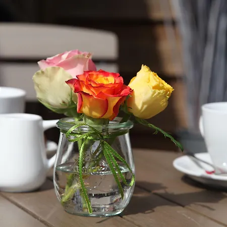 Cityhotel Amadeus 3*