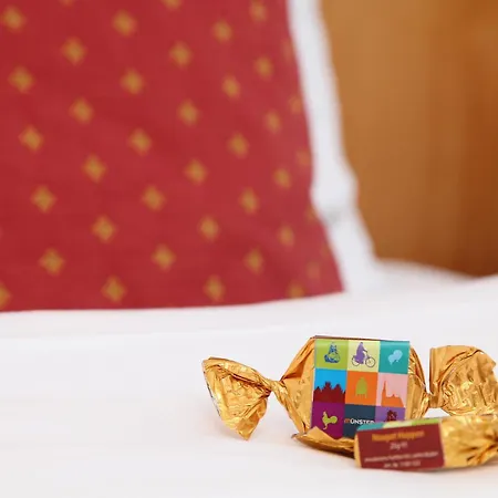 Cityhotel Amadeus Ξενοδοχείο Μούνστερ