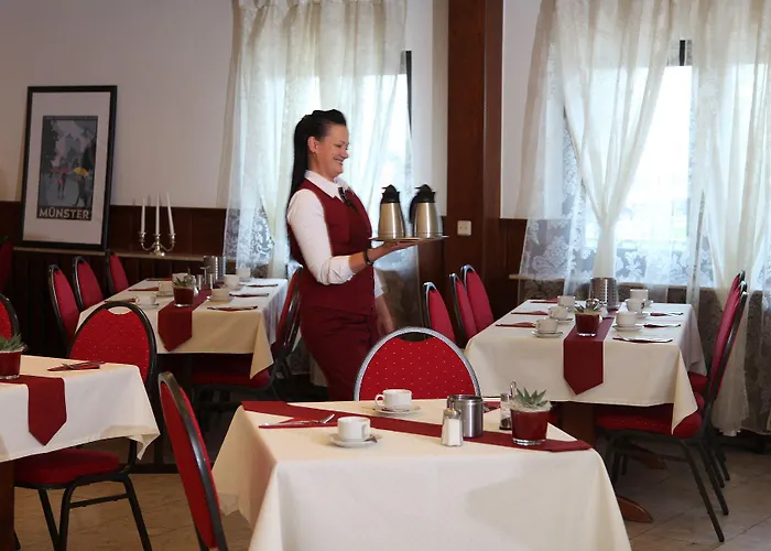 호텔 Cityhotel Amadeus