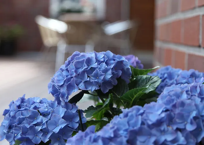 فندق Cityhotel Amadeus 3*